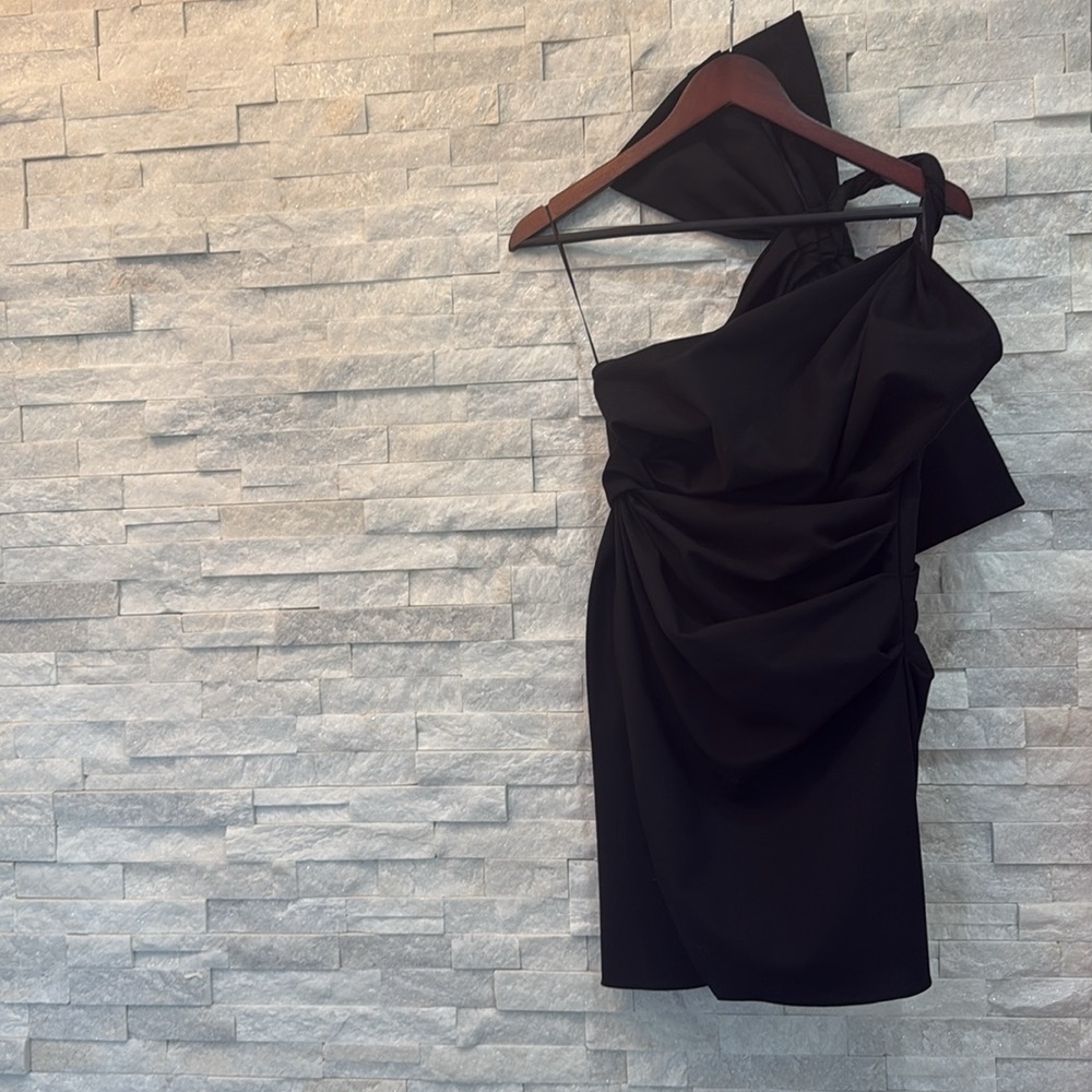 BNWT Zara Black Dress